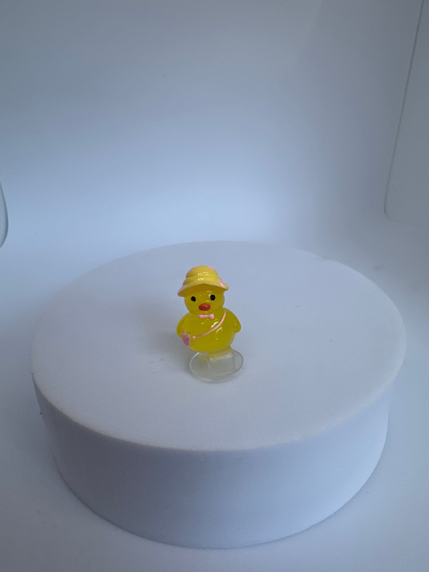 Summer duck croc charm