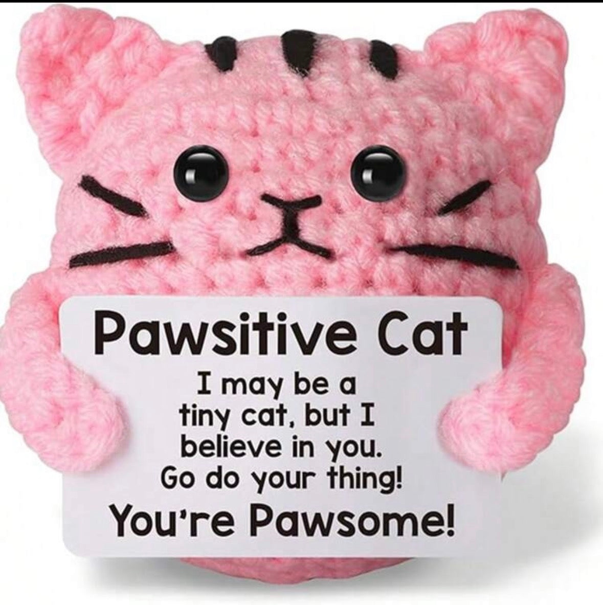 Positive pink cat