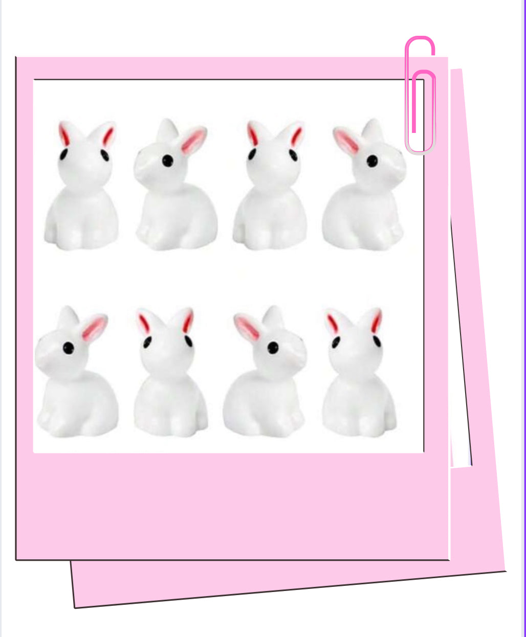 White rabbits