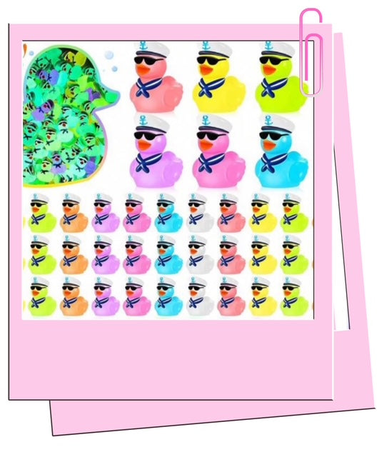 Colourful mini sailor ducks