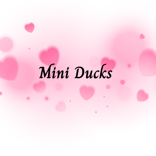 Mini Ducks