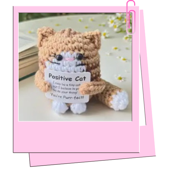 Positive Brown cat