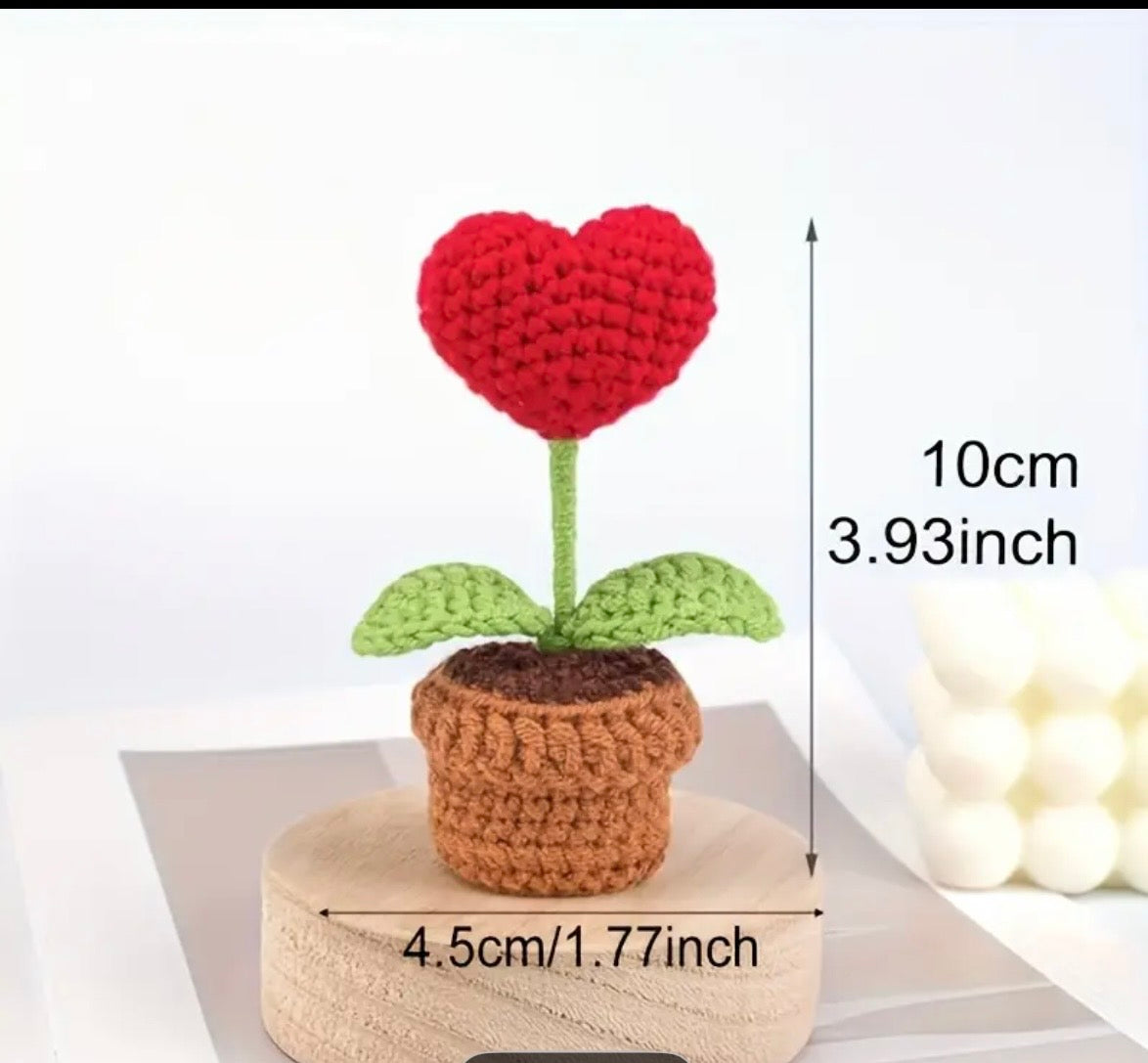 Heart plant