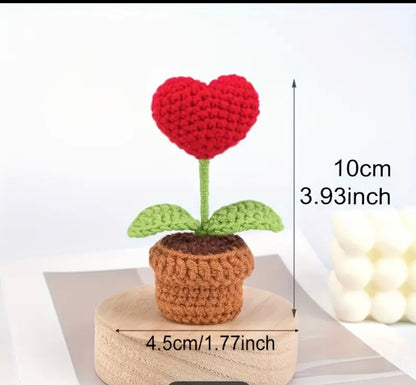 Heart plant