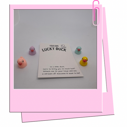 Luck duck pocket hug
