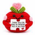 Positive Red Flower Pot Crochet Gift