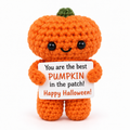 Positive Pumpkins Crochet Gift