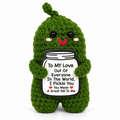 Positive Pickle Crochet Gift