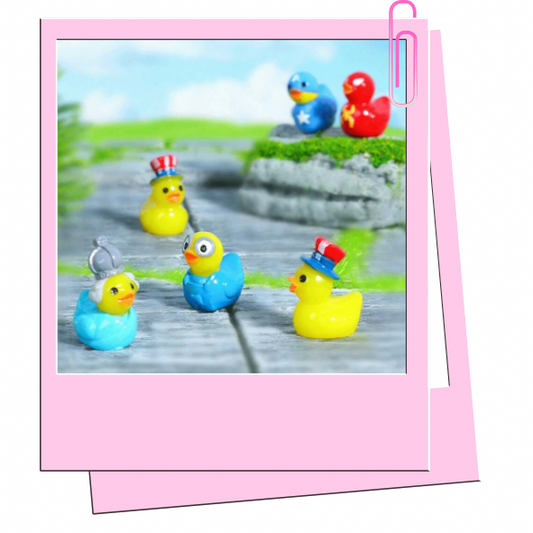USA mini ducks
