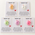 Rabbit Pocket Hug – Bunny Colour Choice Gift