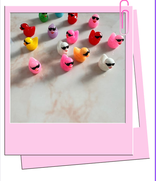 colourful cool ducks