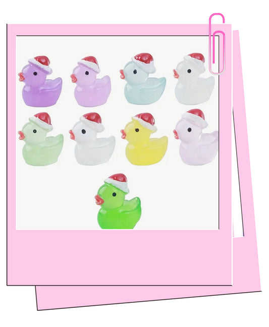 Colourful Santa ducks