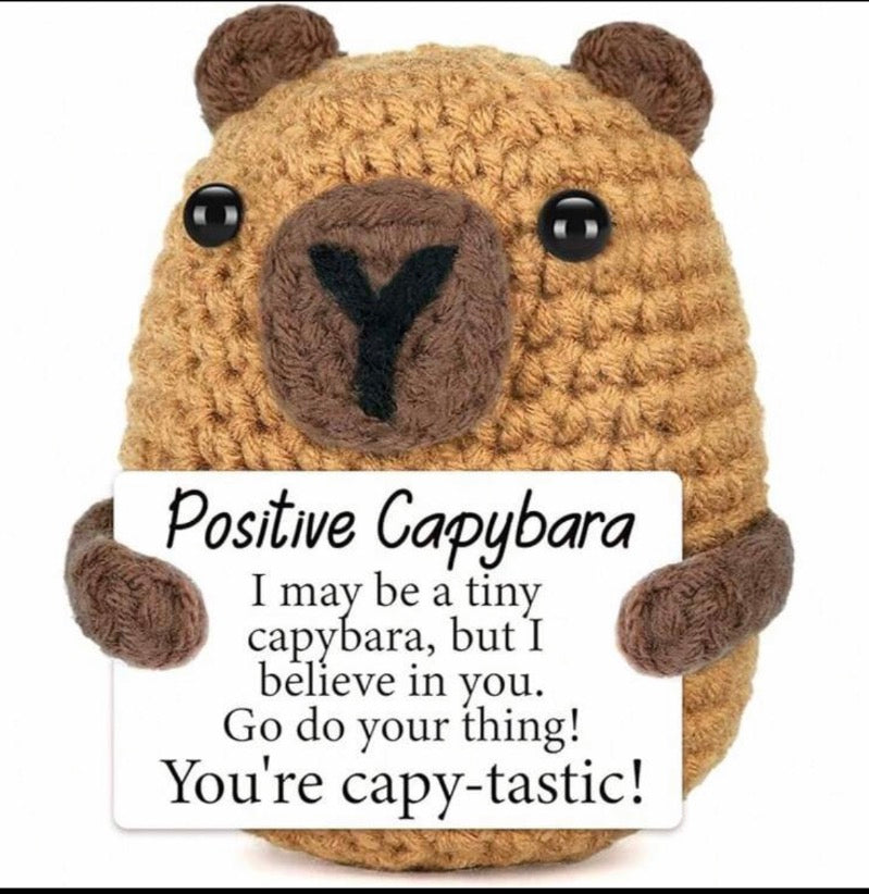 Positive Capybara