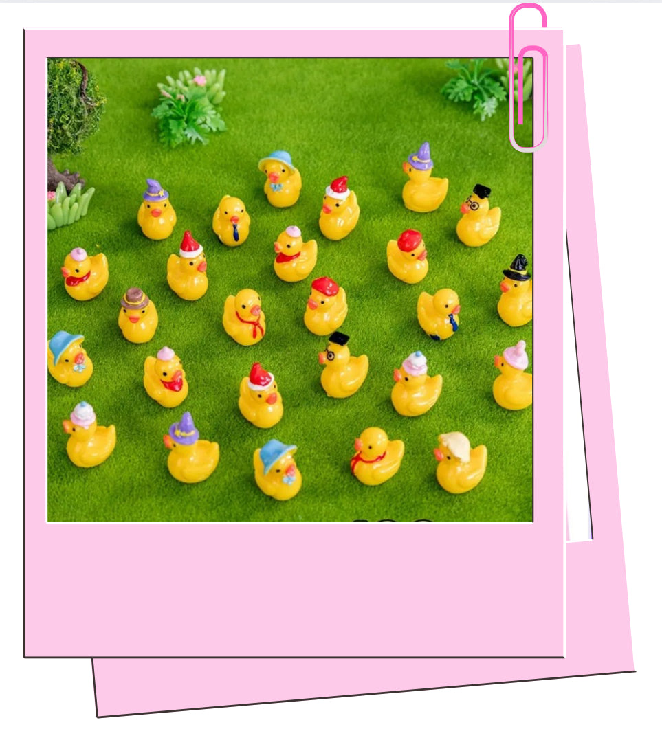 Beautiful mini ducks