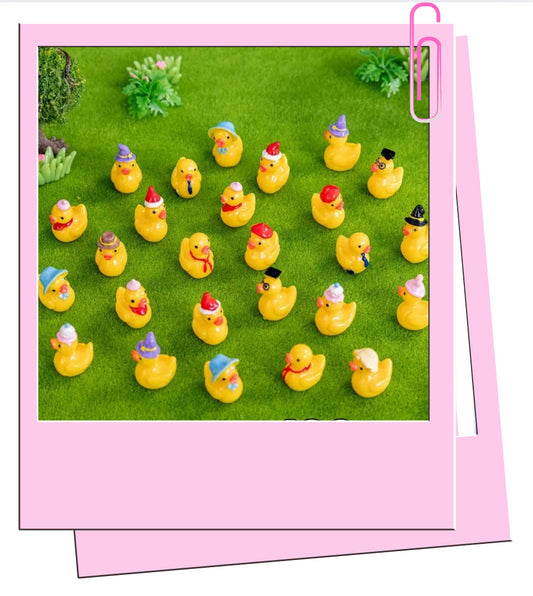Beautiful mini ducks