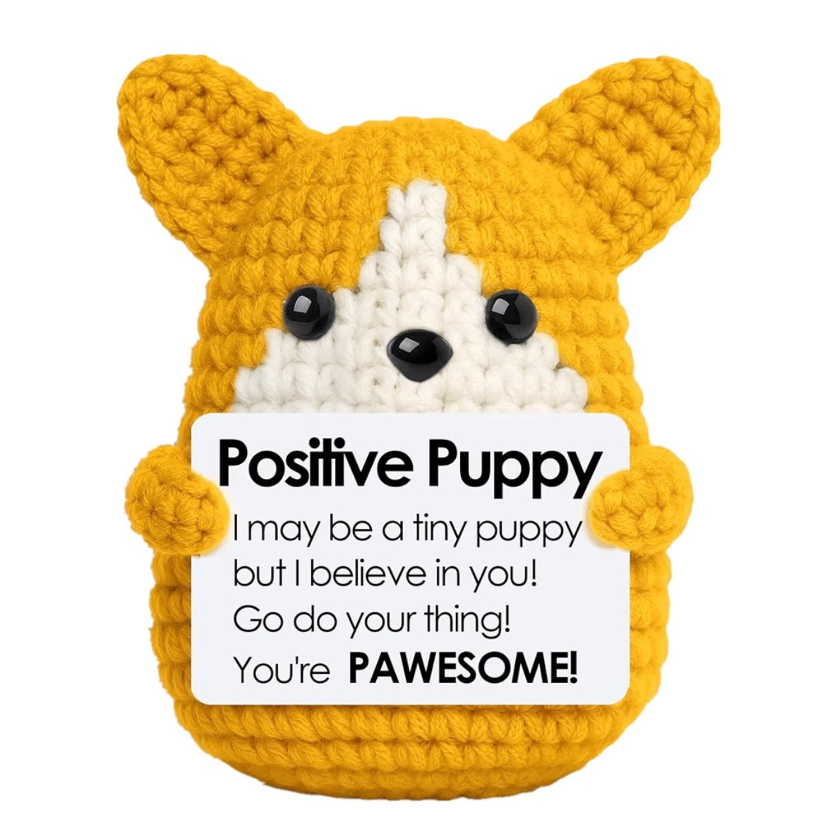 Positive puppy