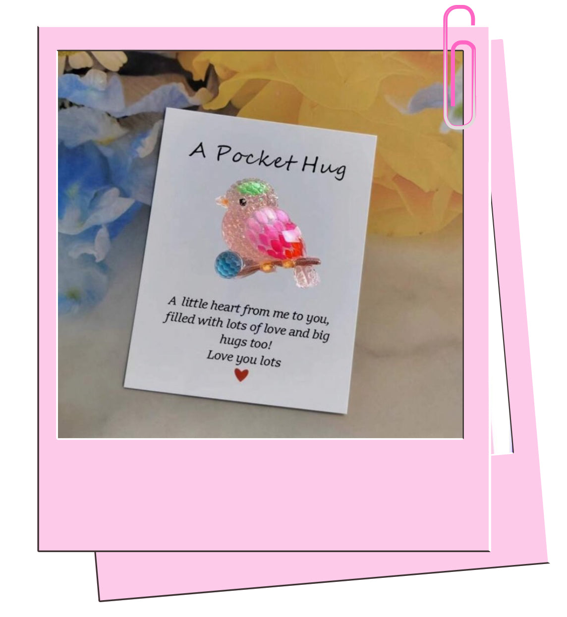 Bird pocket hug