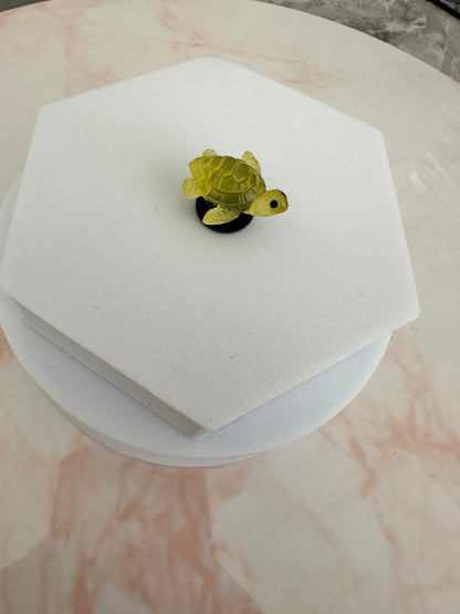 Turtle croc charms