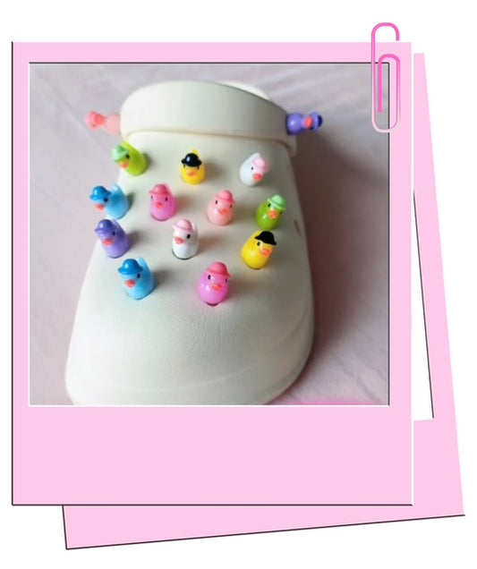 Ducks with hats croc charms