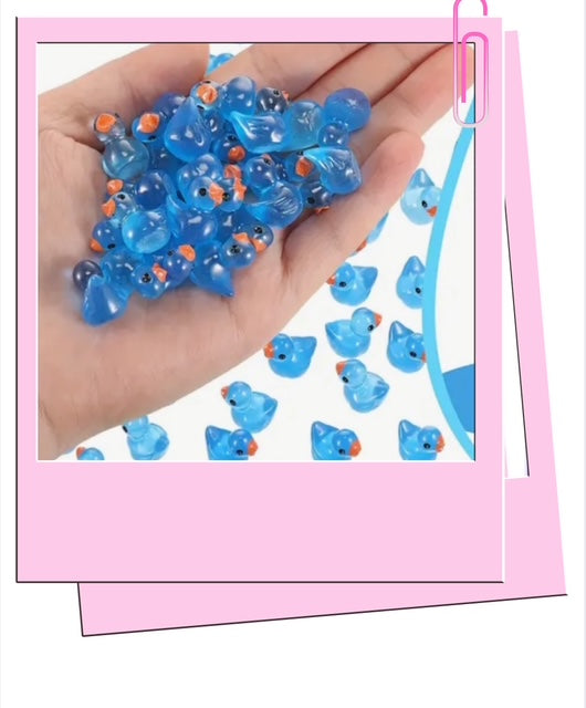 Blue mini ducks