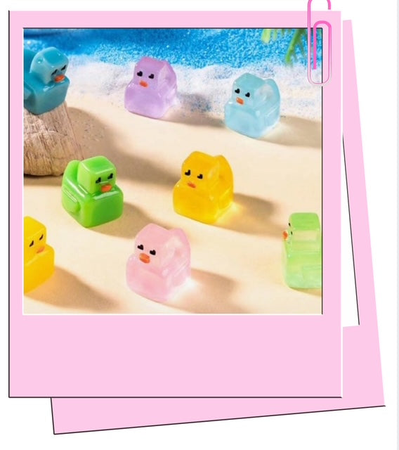 Block mini ducks