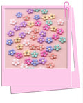 Mini flowers