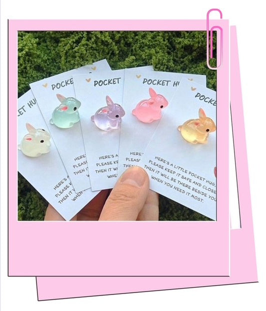 Rabbit Pocket Hug