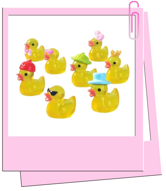 beautiful mini ducks