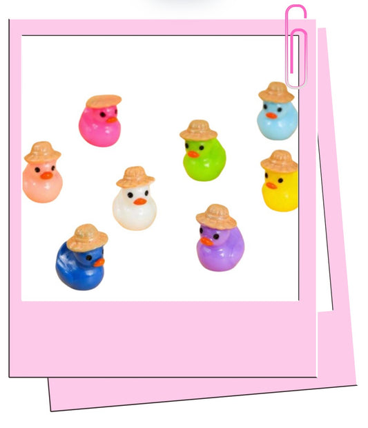 Straw hat ducks