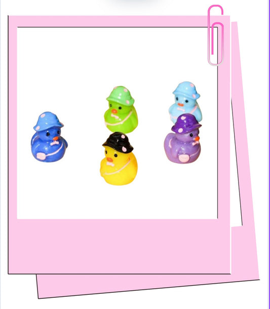 Summer ducks