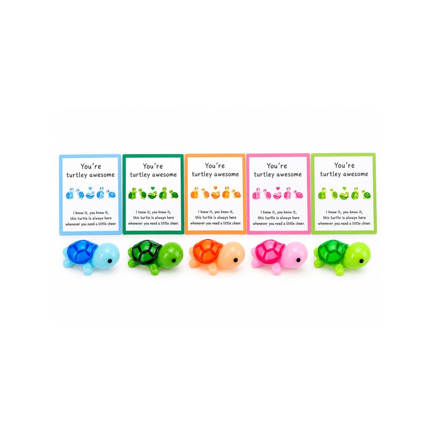 Colourful Turtle Pocket Hug – Cute Friendship & Encouragement Gift